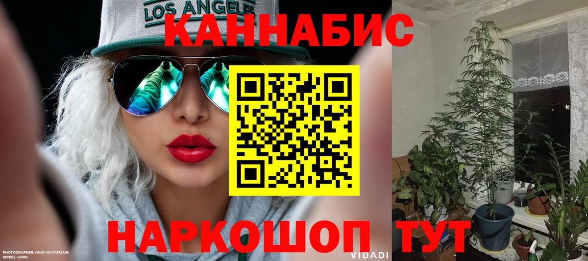Шишки марихуана гибрид Гатчина